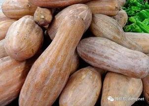 文安吃瓜地,揭秘民间趣事,品味生活百态 第1张 文安吃瓜地,揭秘民间趣事,品味生活百态 第1张